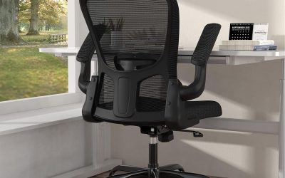 Ergonomic Office Chair Review