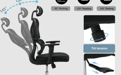 Sytas Ergonomic Home Office Chair Review